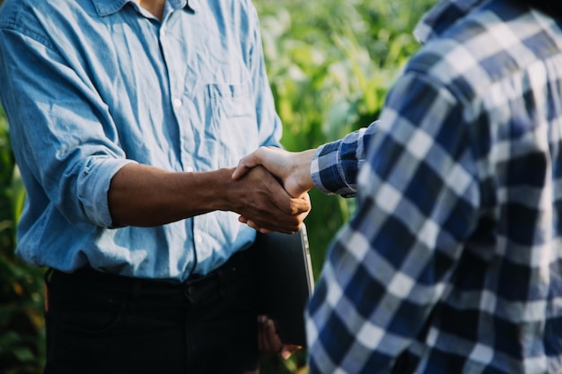 Foto los agricultores utilizan la red central de datos en internet desde el móvil para validar la prueba y seleccionar el nuevo método de cultivo los jóvenes agricultores y el cultivo de tabaco