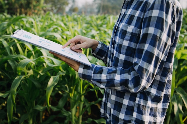 Los agricultores utilizan la red central de datos en Internet desde el móvil para validar la prueba y seleccionar el nuevo método de cultivo Los jóvenes agricultores y el cultivo de tabaco