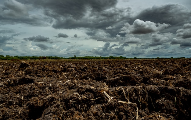 Agricultura arado campo. solo preto arado campo com céu tempestuoso. solo de terra moído na fazenda. preparo do solo. solo fértil em fazenda agrícola orgânica. paisagem da fazenda.