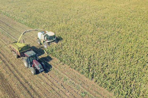 Agricultura cortando silagem e enchendo reboque em campo Vista aérea