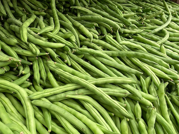 Agricultura de feijão fresco no mercado