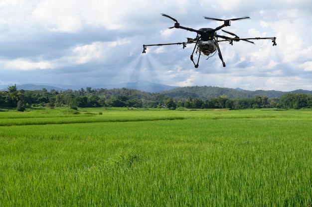 Agricultura drone agricultura voa para pulverizar fertilizante nos campos de arroz. Agricultura industrial e tecnologia de drones de agricultura inteligente.