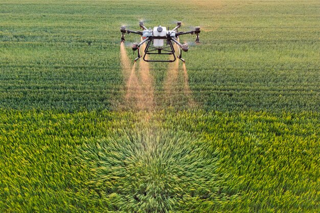 Foto agricultura drones pulverizando culturas no campo ao pôr do sol