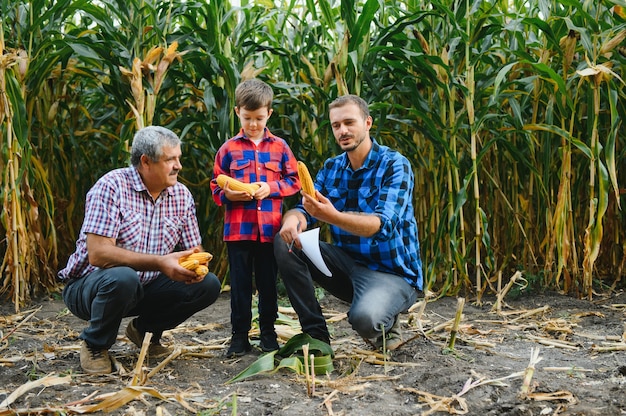 Agricultura familiar. Abuelo de agricultores con hijo y nieto en un campo de maíz. Concepto de agricultura.