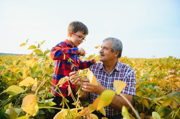 Foto agricultura familiar. abuelo de agricultores con nieto en campo de soja. el abuelo enseña el negocio familiar al nieto.