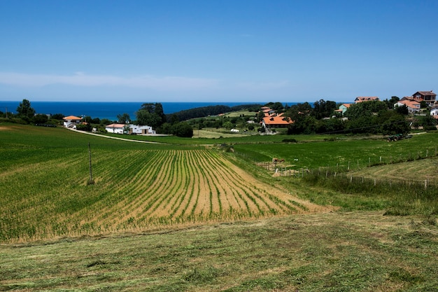 Agricultura y ganadería en la costa