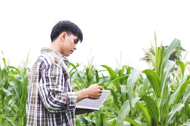 Agricultura Granjero trabajador en campo de maíz Tecnologías digitales modernas Agrónomo en la granja Granjero con tableta en campo de maíz verde Trabajador trabaja en la granja Concepto de agricultura Negocio Granja