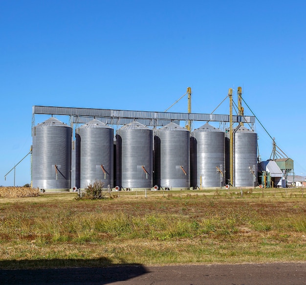 Agricultura de granos de silo