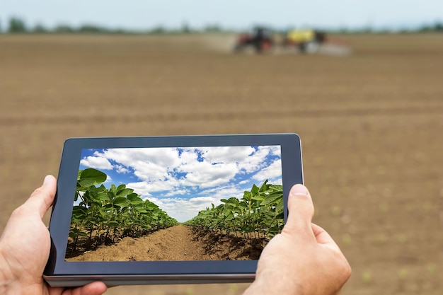 Agricultura inteligente. Agricultor usando tablet Plantio de soja. Conceito de agricultura moderna.