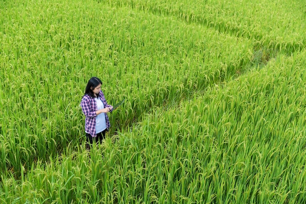 Agricultura inteligente con concepto de Internet de las cosas IoT Agricultura y tecnología moderna