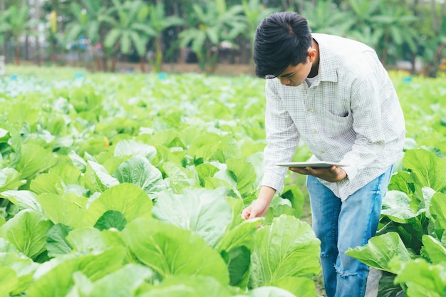 Agricultura inteligente usando tecnologias modernas na agricultura.