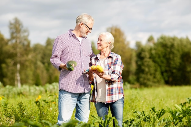 agricultura, jardinagem, agricultura, colheita e conceito de pessoas - casal sênior com legumes na fazenda