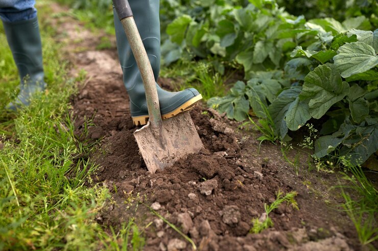 Foto agricultura, jardinagem, agricultura e conceito de pessoas - agricultor com pá cavando leito de jardim ou fazenda