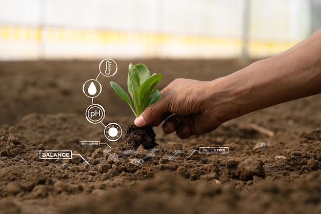 Agricultura moderna y seguimiento fitosanitario