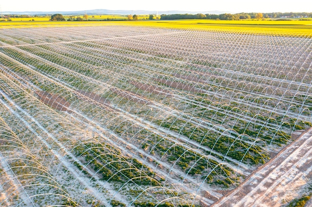 Agricultura moderna Vista aérea de estufas para expressar a paisagem de verão da agricultura de grandes fazendas verdes