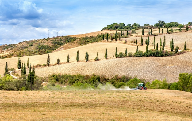 Agricultura, ploughing, trator, com, um, cultivador, arado, a, campo, após, a, colheita