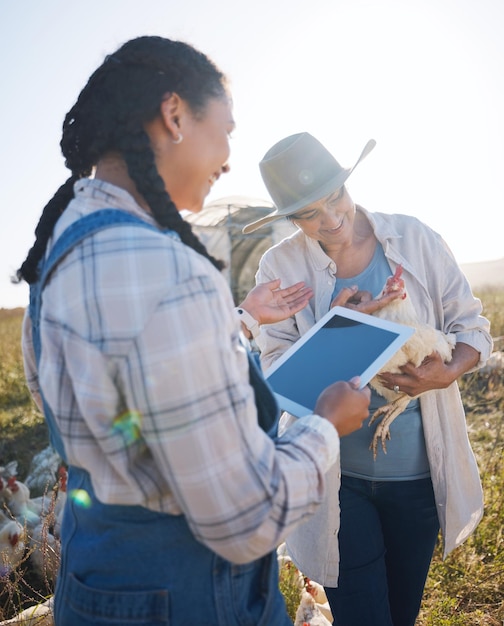 Foto agricultura de pollos y agricultoras con tableta para la investigación de negocios de ganado en el campo tecnología digital sostenible y personas con una granja avícola en un ambiente ecológico