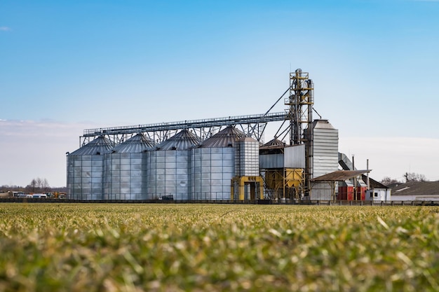 Agro-Silos-Getreideaufzug auf Agroprocessing-Produktionsanlage zur Verarbeitung, Trocknung, Reinigung und Lagerung von landwirtschaftlichen Produkten, Mehl, Getreide und Getreide