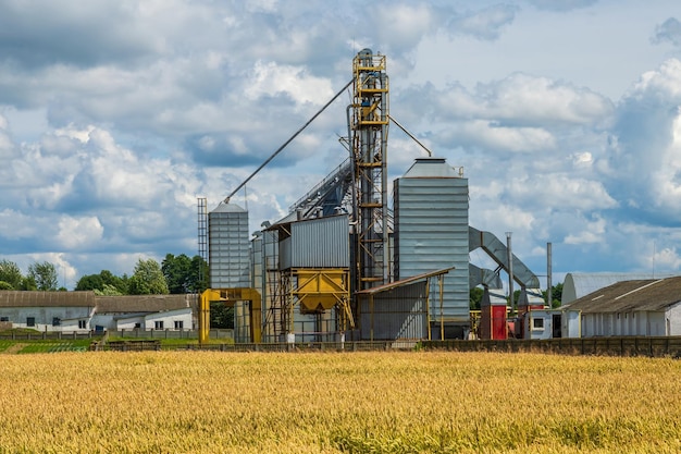 Foto agro-silos-getreideaufzug auf agroprocessing-produktionsanlage zur verarbeitung von trocknungsreinigung und lagerung von landwirtschaftlichen produkten in roggen- oder weizenfeldern