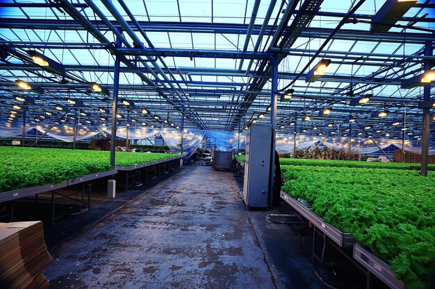 Agroempresas invernadero primavera de plántulas