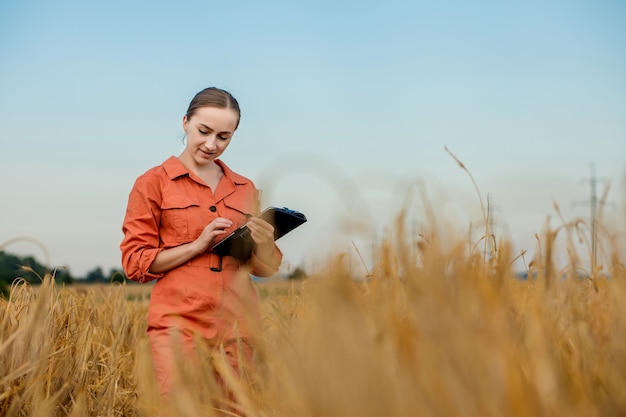 Agronom Bauer mit digitalem Tablet-Computer im Weizenfeld mit Apps und Internet. Smart Farming mit modernen Technologien in der Landwirtschaft.