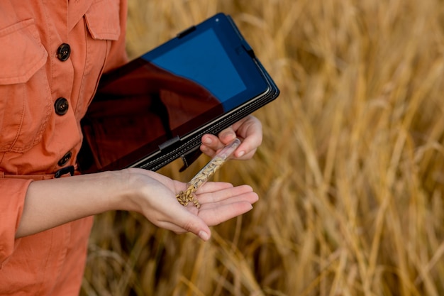 Agronom Bauer mit digitalem Tablet-Computer im Weizenfeld mit Apps und Internet. Smart Farming mit modernen Technologien in der Landwirtschaft.