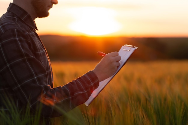 agronom hält einen ordner in den händen und macht sich notizen auf einem grünen weizenfeld