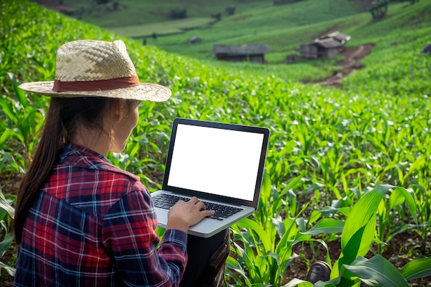 Agronom im Maisfeld mit Laptop-Computer des leeren Bildschirms