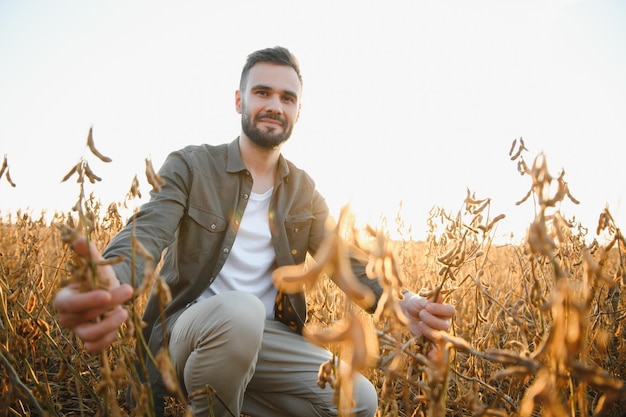 Agronom inspiziert die Sojabohnenernte auf dem landwirtschaftlichen Feld Agrarkonzeptbauer in der Sojabohnenplantage auf dem Bauernhof