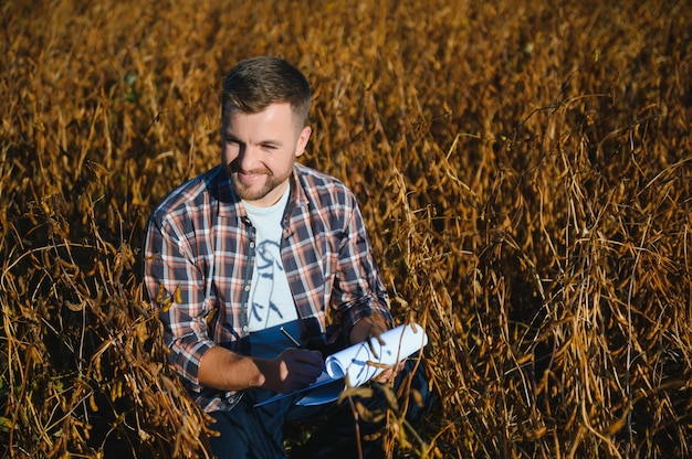 Agronom inspiziert Sojabohnen-Ernte im landwirtschaftlichen Bereich - Agro-Konzept - Landwirt in Sojabohnenplantage auf dem Bauernhof.