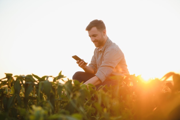 Agronom inspiziert Sojabohnenkulturen, die auf dem Feld wachsen Landwirtschaftliches Produktionskonzept Junger Agronom untersucht Sojabohnenernte auf dem Feld im Sommer Bauer auf Sojabohnenfeld