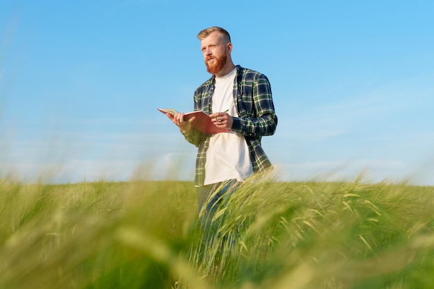 Agronom mit Notizbuch in einem Weizenfeld Ein Bauer mit Bart und Hemd bereitet das Feld für die zukünftige Ernte vor