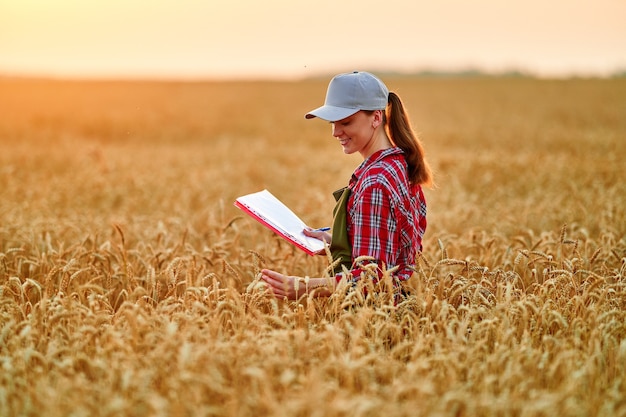 Agrónoma agricultora que trabaja en el campo de cereales y planifica los ingresos de la cosecha. Mujer examinando y comprobando el control de calidad de la cosecha de trigo. Gestión agrícola y agroindustria