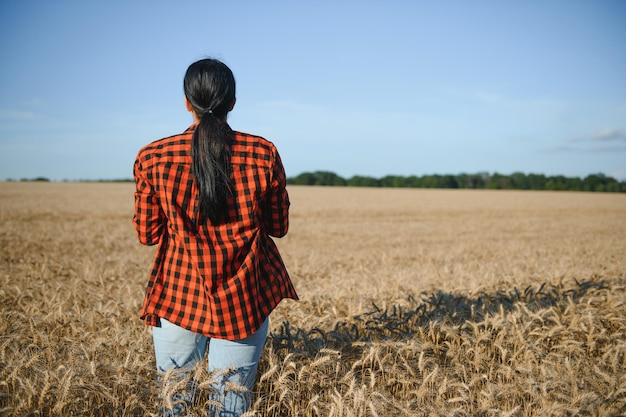 Agrónoma agricultora que trabaja en el campo de cereales y planifica los ingresos de la cosecha Mujer que examina y verifica el control de calidad de los cultivos de trigo Gestión agrícola y agronegocios