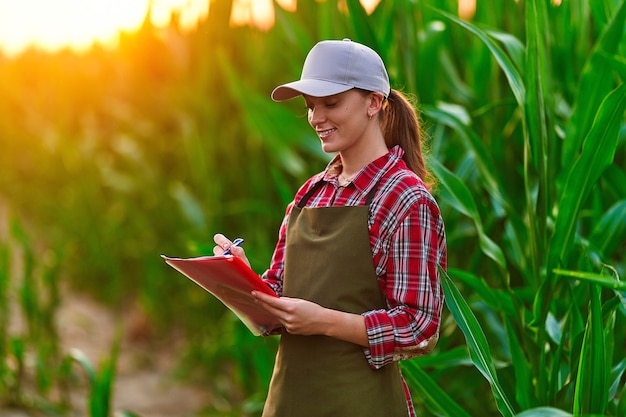 Agrónoma agricultora que trabaja en el campo de maíz y planifica los ingresos de la cosecha. Mujer examinando y comprobando el control de calidad de la cosecha de maíz. Gestión agrícola y agroindustria