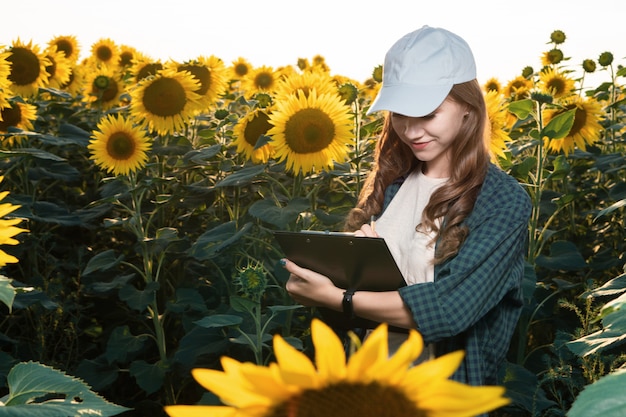 Agrônoma jovem inspecionando girassóis no campo