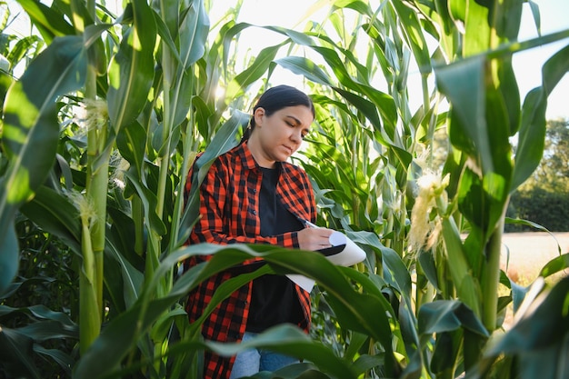 Agronomin Bäuerin im Maisfeld Landarbeiterin analysiert die Pflanzenentwicklung