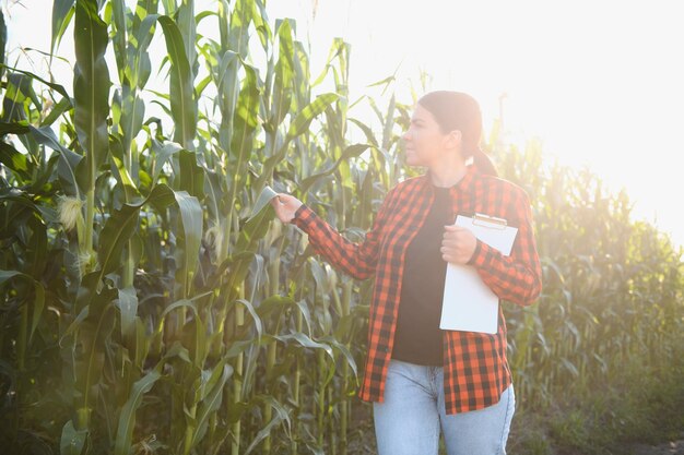 Agronomin Bäuerin im Maisfeld Landarbeiterin analysiert die Pflanzenentwicklung