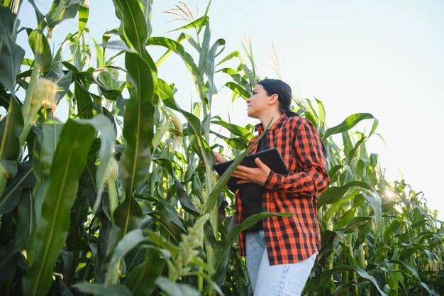 Agronomin Bäuerin im Maisfeld Landarbeiterin analysiert die Pflanzenentwicklung