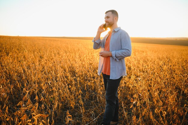 Foto agronomischer landwirt, der die entwicklung von sojabohnenkulturen im selektiven fokus des plantagenfeldes untersucht