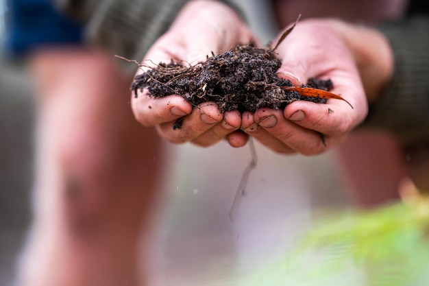 Agronomista uma fazenda que pratica agronomia segurando solo fazendo testes de solo em seu laboratório em casa olhando para a vida e saúde do solo