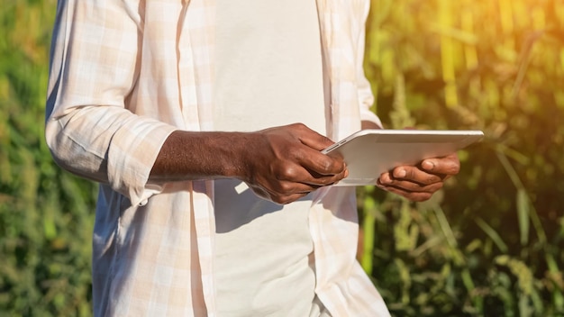 Agrônomo afro-americano pesquisa dados sobre milho via tablet