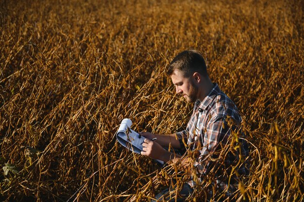 Agrónomo agricultor en campo de soja comprobando cultivos antes de la cosecha. Producción y cultivo de alimentos orgánicos.