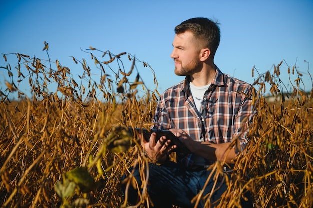 Agrónomo agricultor en campo de soja comprobando cultivos antes de la cosecha. Producción y cultivo de alimentos orgánicos.