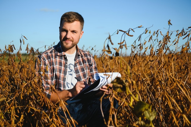 Agrónomo agricultor en campo de soja comprobando cultivos antes de la cosecha. Producción y cultivo de alimentos orgánicos.