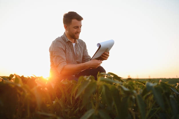 Agrónomo agricultor en campo de soja revisando cultivos Producción y cultivo de alimentos orgánicos