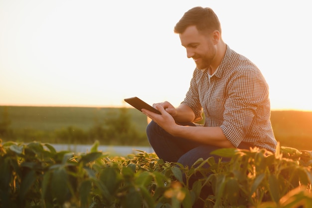 Agrónomo agricultor en campo de soja revisando cultivos Producción y cultivo de alimentos orgánicos