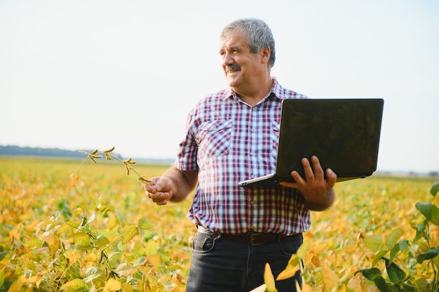 Un agrónomo agricultor inspecciona el cultivo de soja en un campo. Agricultura