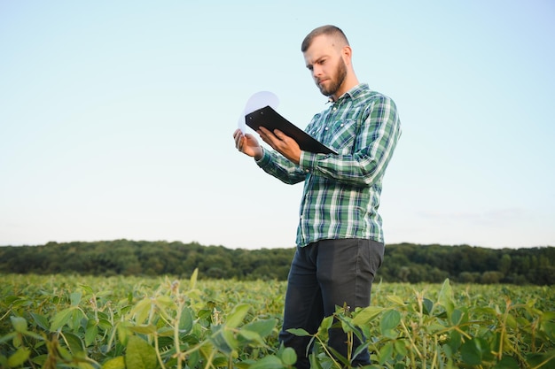 Un agrónomo agricultor inspecciona la soja verde que crece en un campo. Agricultura