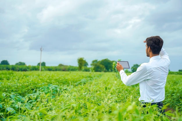 Agrónomo en campo de algodón con smartphone